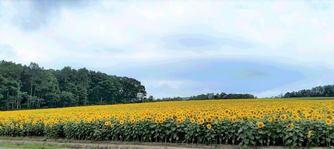 【例会山行】北海道旭岳～大雪山系縦走と観光・山旅⑦ (2019.07.16-08.03)