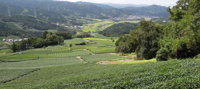 【例会山行】宇治鷲峰山 金胎寺行場巡り (2019.09.08)