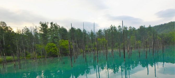 【例会山行】北海道旭岳～大雪山系縦走と観光・山旅⑤ (2019.07.16-08.03)