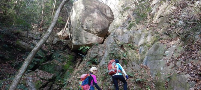 【個人山行】六甲山徘徊山行.道畦谷右俣.五助尾根（2019.12.21）No.1