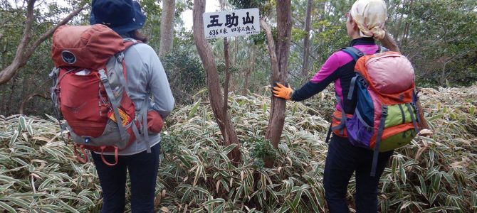 【個人山行】六甲山徘徊山行.道畦谷右俣.五助尾根（2019.12.21）No.2