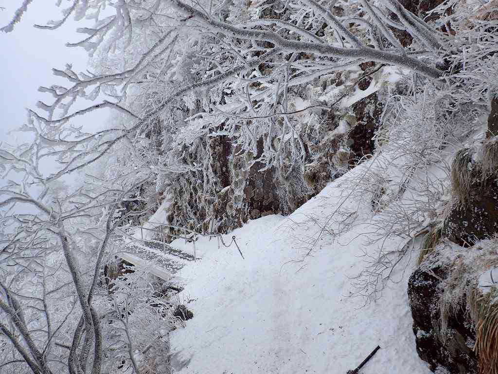 雪が多いと階段が埋まって恐怖の斜面となる所も今年はしっかり階段が出ている