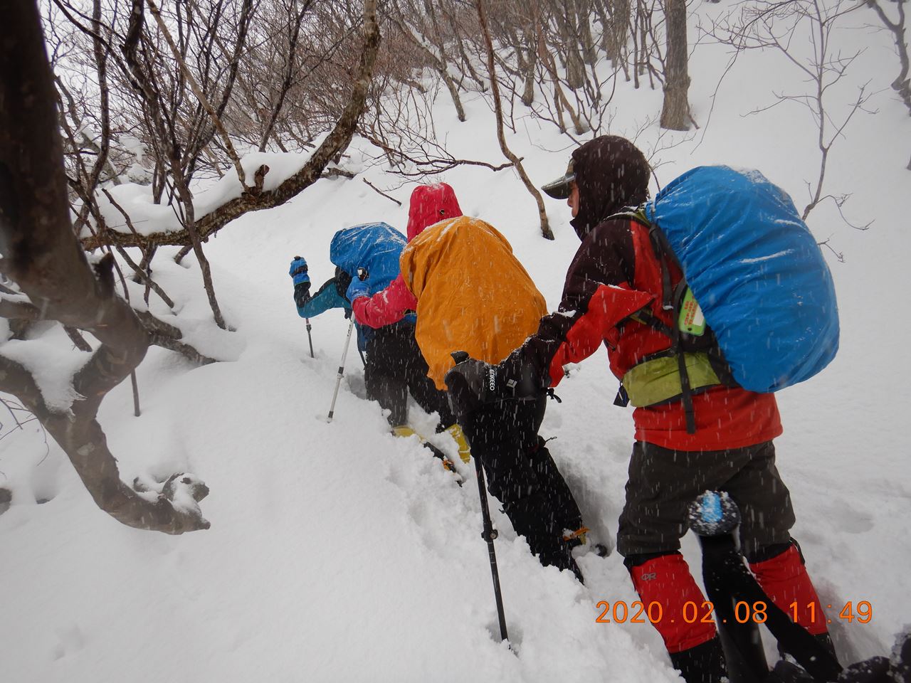 【例会山行】湖北乗鞍岳（2020.02.08）