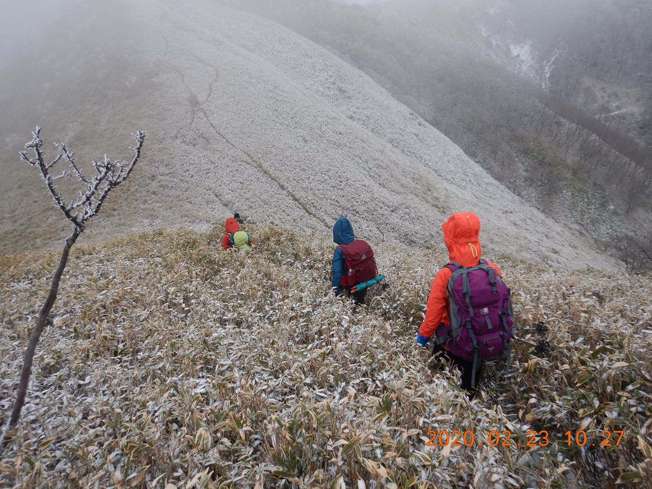 【例会山行】鈴鹿.雨乞岳（2020.2.22～23）No－2