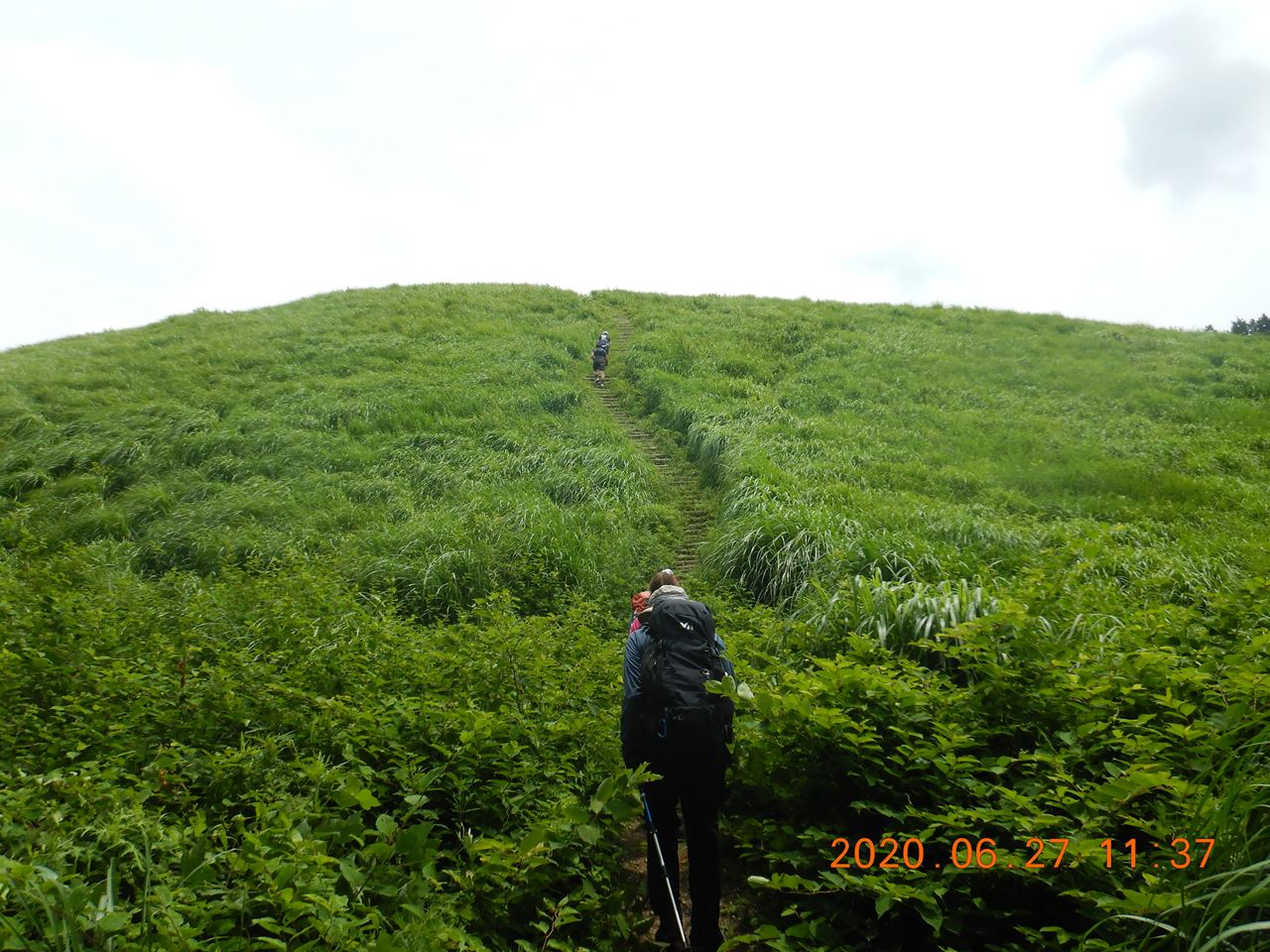 【例会山行】ダイトレ.岩湧山（2020.6.27）