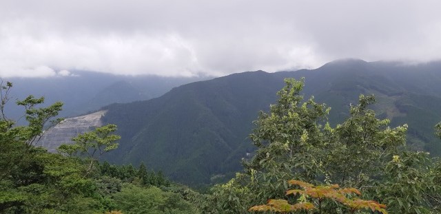 【個人山行】奥武蔵_伊豆ヶ岳（2020.8.2）