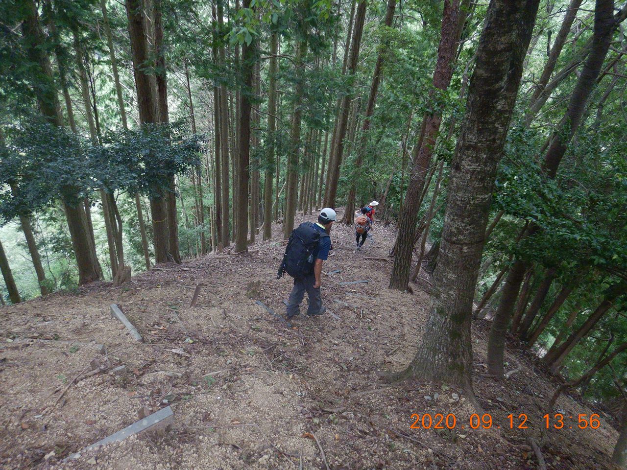 【個人山行】箕面.鉢伏山と明ヶ田尾山と激下り（2020.9.12）