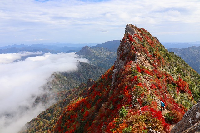 【個人山行】石鎚東陵・墓場尾根（2020.10.7）