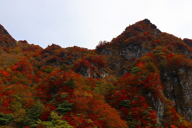 【個人山行】寒風山～笹ヶ峰（2020.10.18）