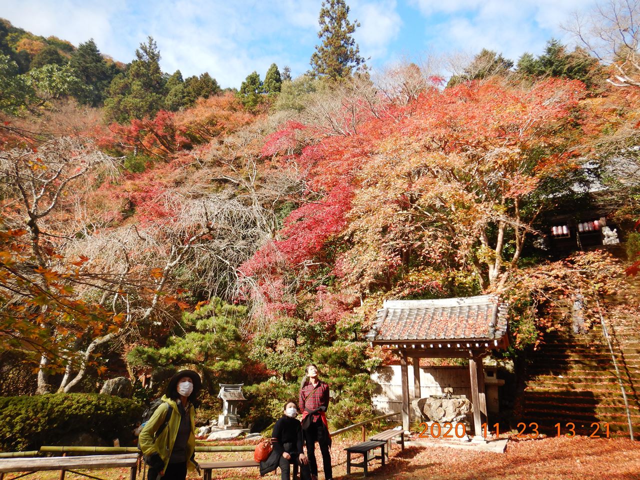 【個人山行】京都西山紅葉狩りハイク（2020.11.23）