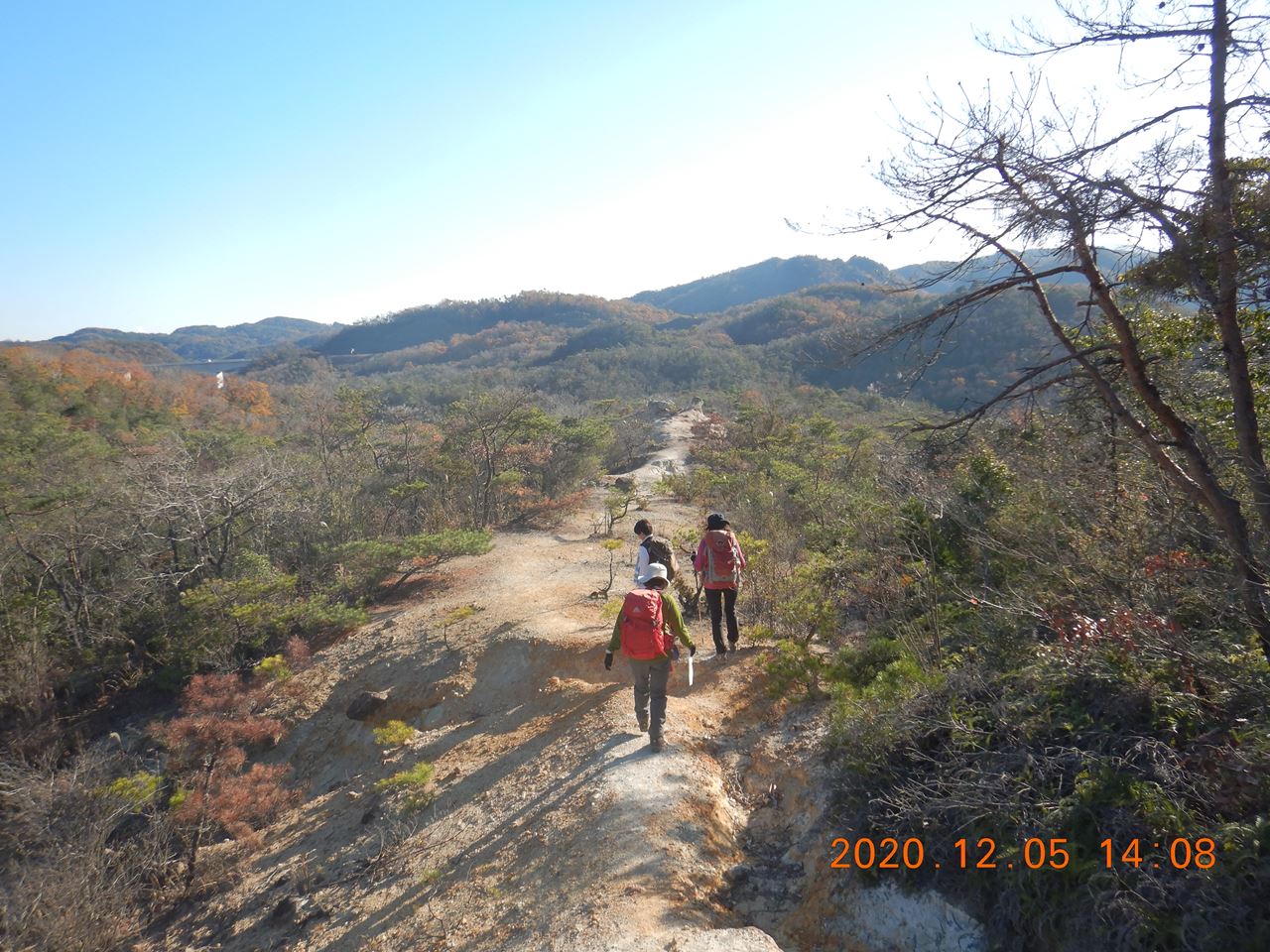 【個人山行】北摂.大岩ヶ岳（2020.12.5）