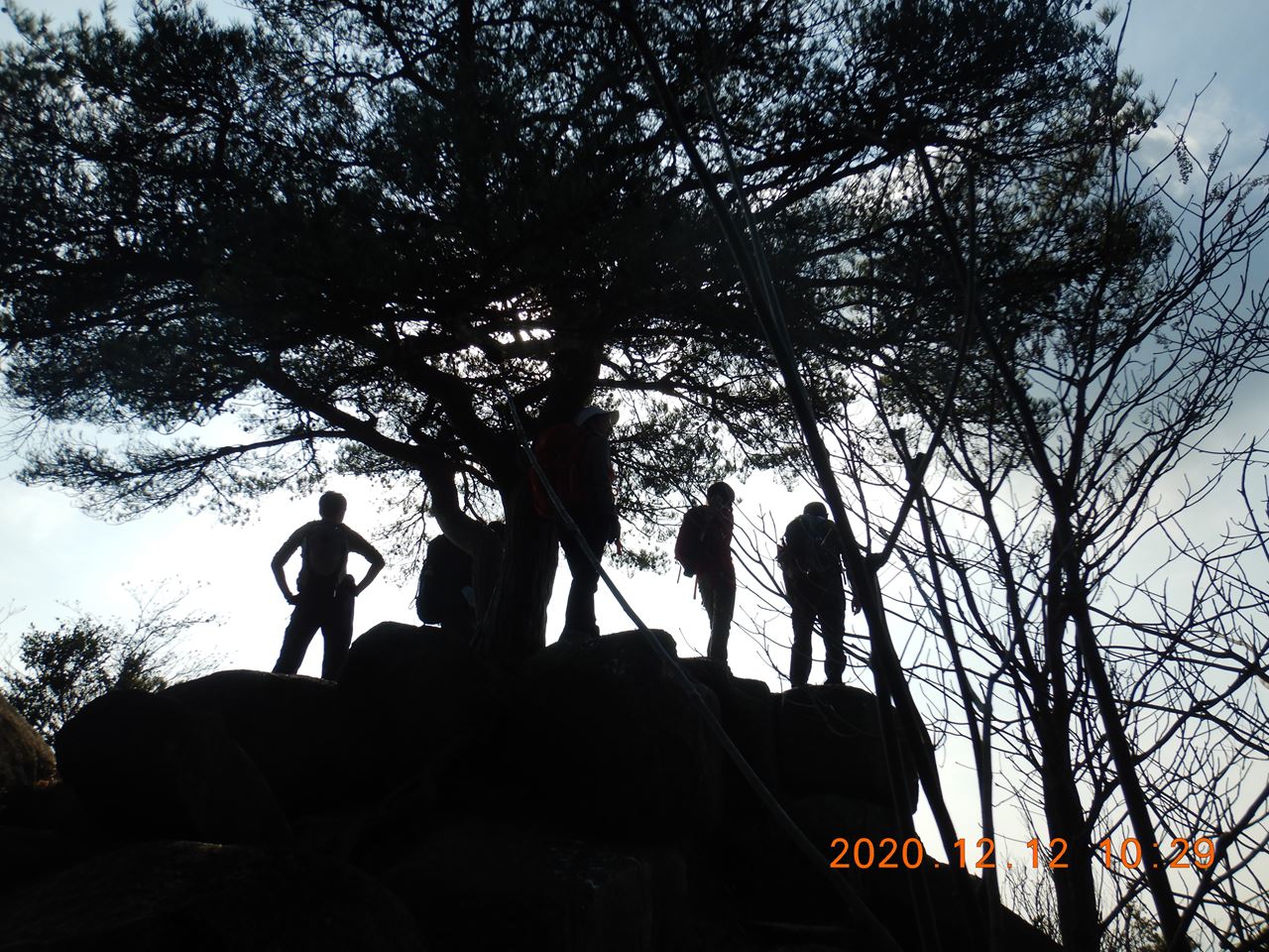 【個人山行】六甲山.黒岩、黒五谷、北黒五山、黒岩谷（2020.12.12）