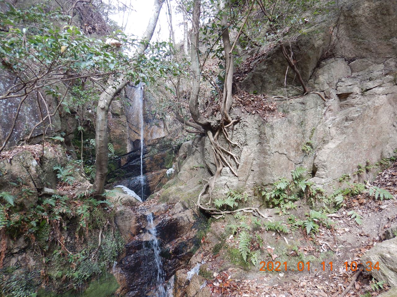 【個人山行】六甲山.芦屋地獄谷（2021.1.11）