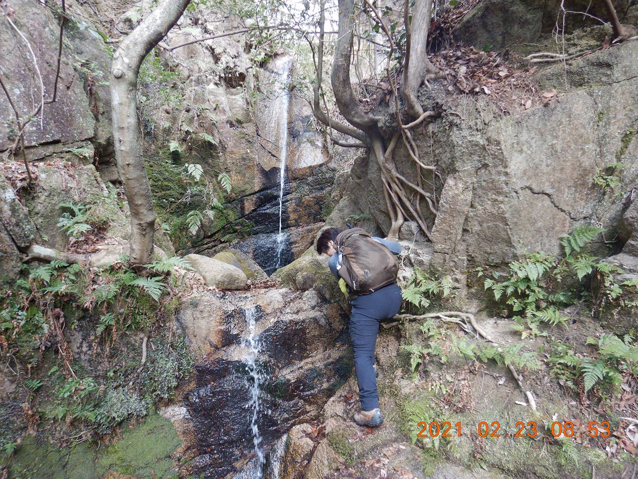 【個人山行】六甲山.芦屋川―一軒茶屋―宝塚（2021.2.23）