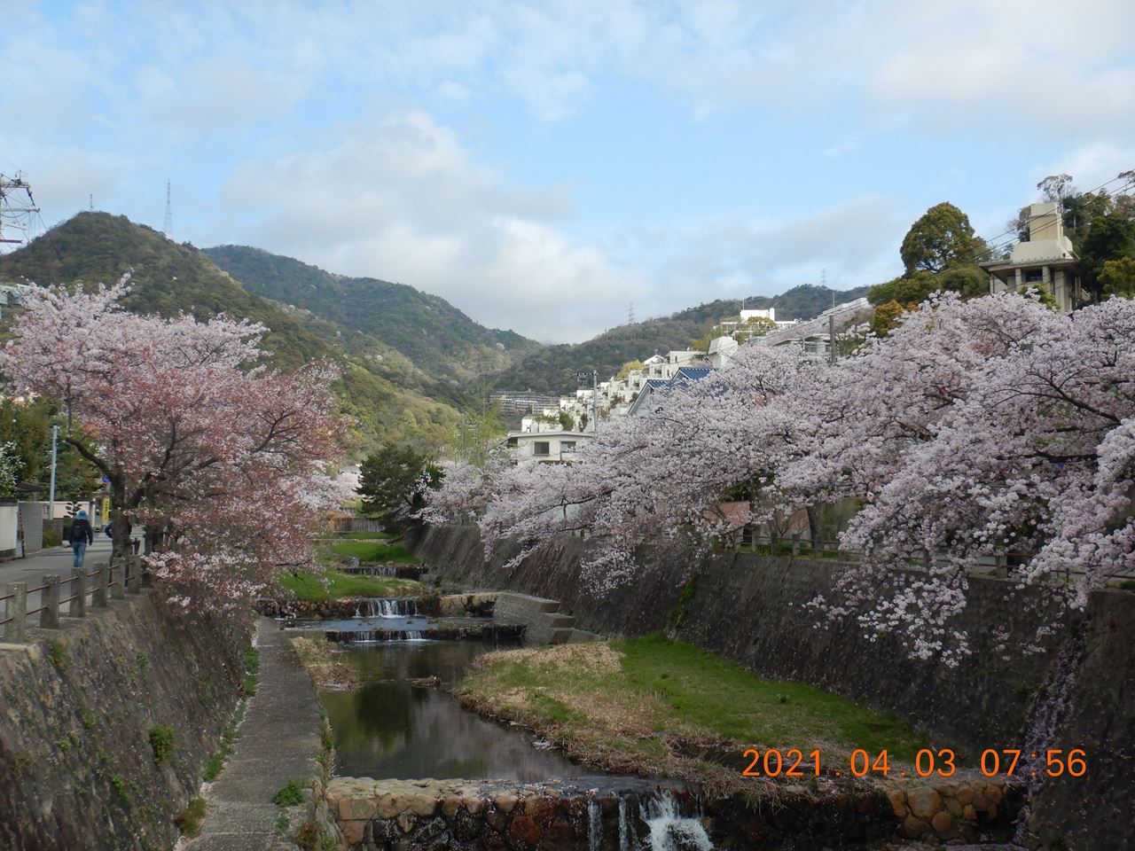 【個人山行】六甲山.有馬往復（2021.4.3）
