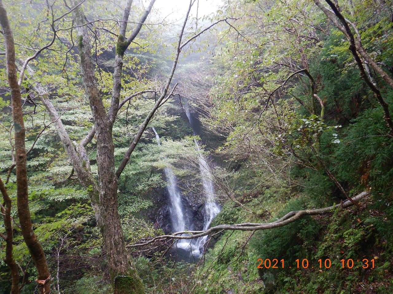 【例会山行】比良.白滝山（2021.10.10）