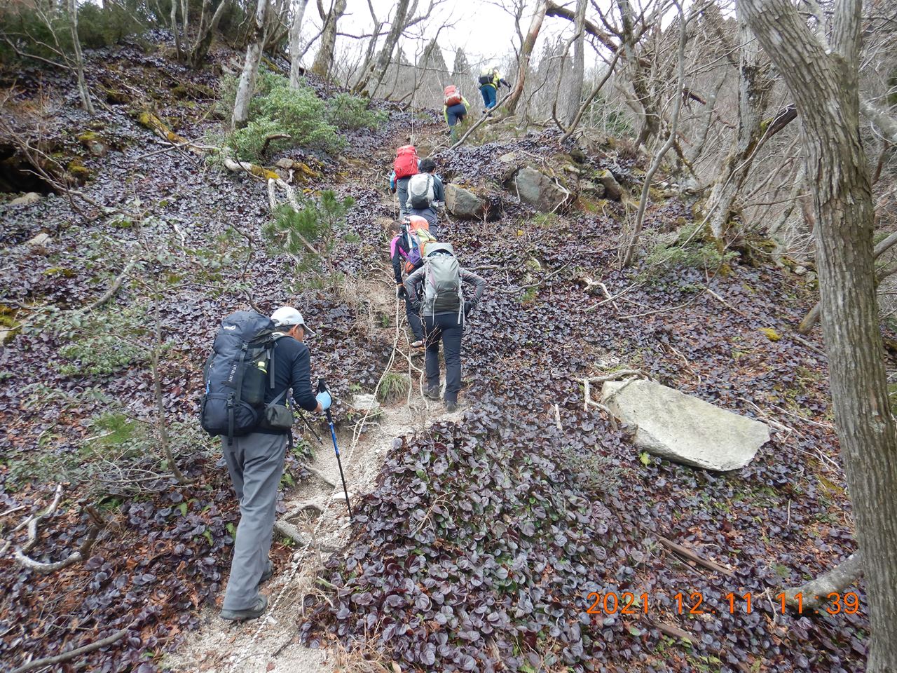 【例会山行】納山祭登山　比良.神璽谷（2021.12.11）
