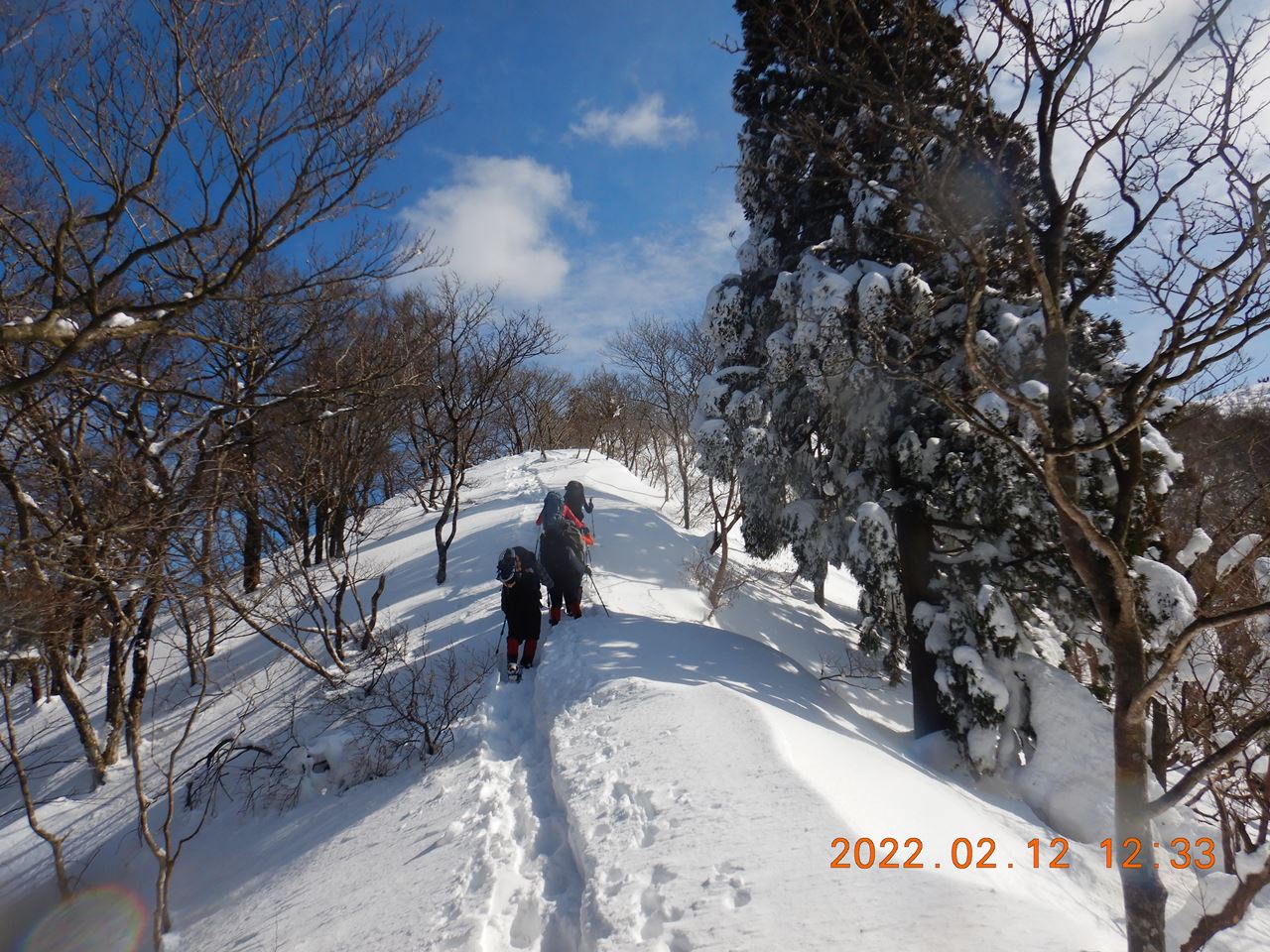 【個人山行】比良、武奈ヶ岳.細川尾根（2022.2.12）
