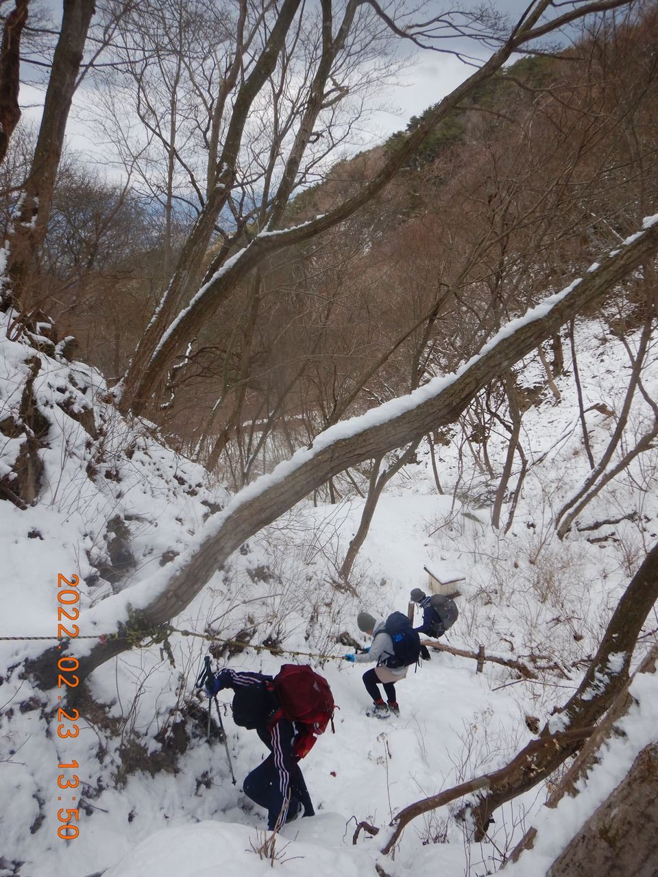 【個人山行】六甲山、地獄谷.黒岩谷西尾根.瑞宝寺谷（2022.2.23）