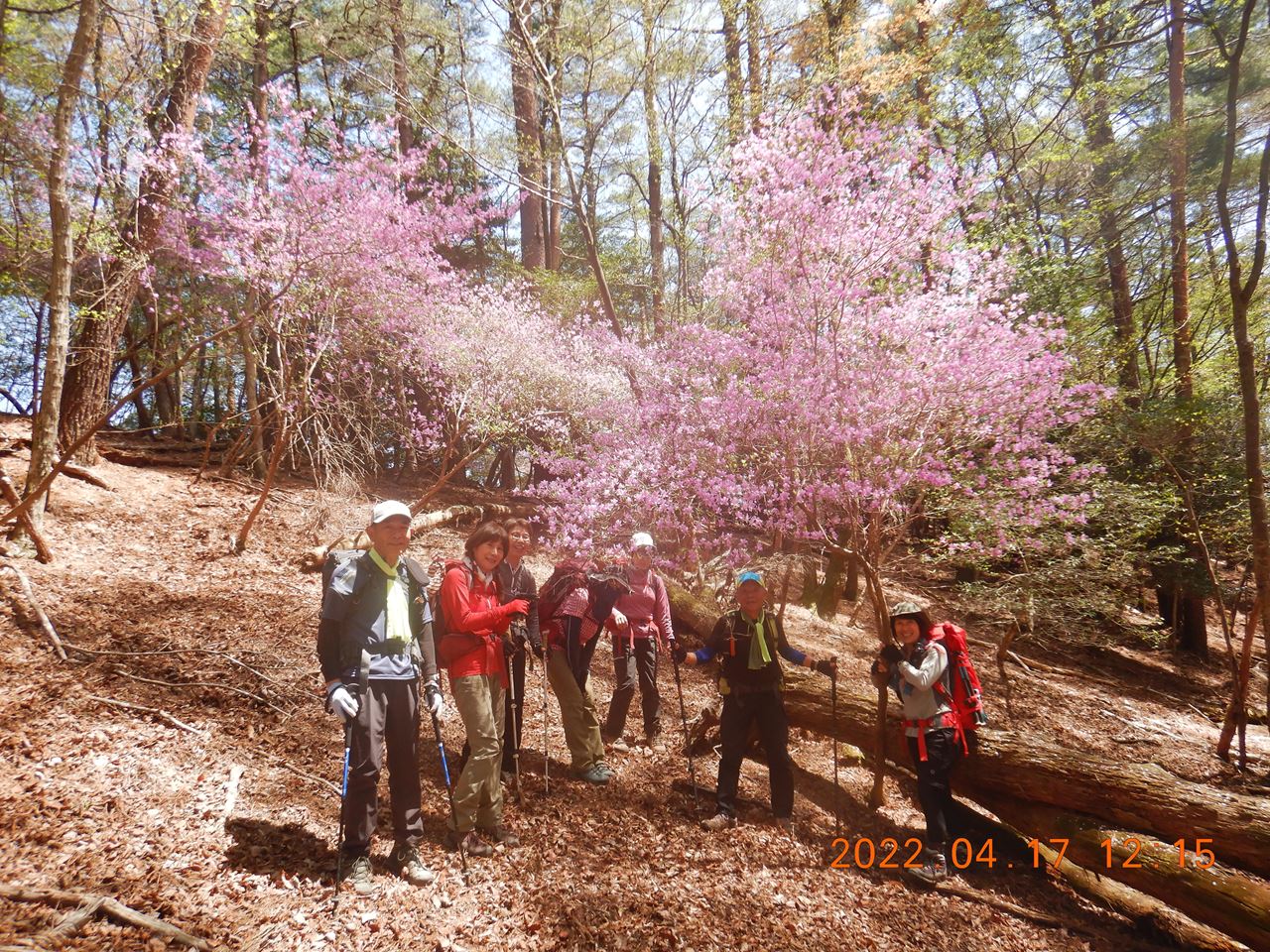 【例会山行】箕面、明ケ田尾山（2022.4.17）