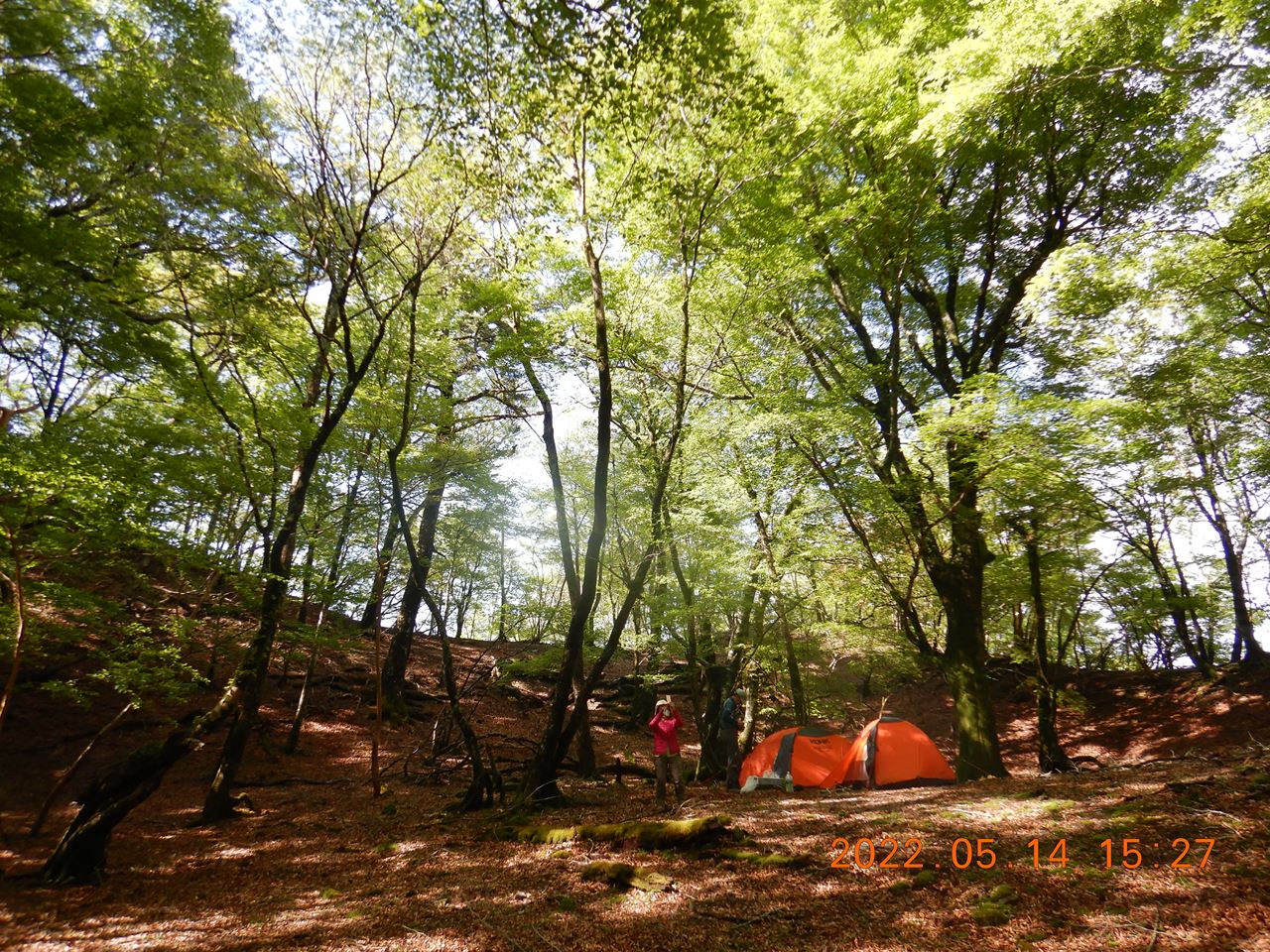 【例会山行】四国、雲早山～高丸山.テン泊縦走（2022.5.14～15）