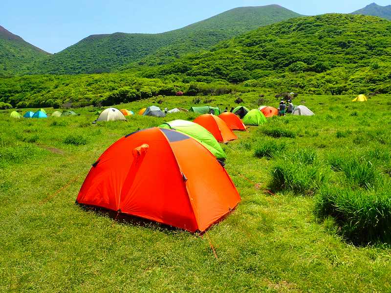 【個人山行】坊がつる・ミヤマキリシマ（2022.6.3-4）
