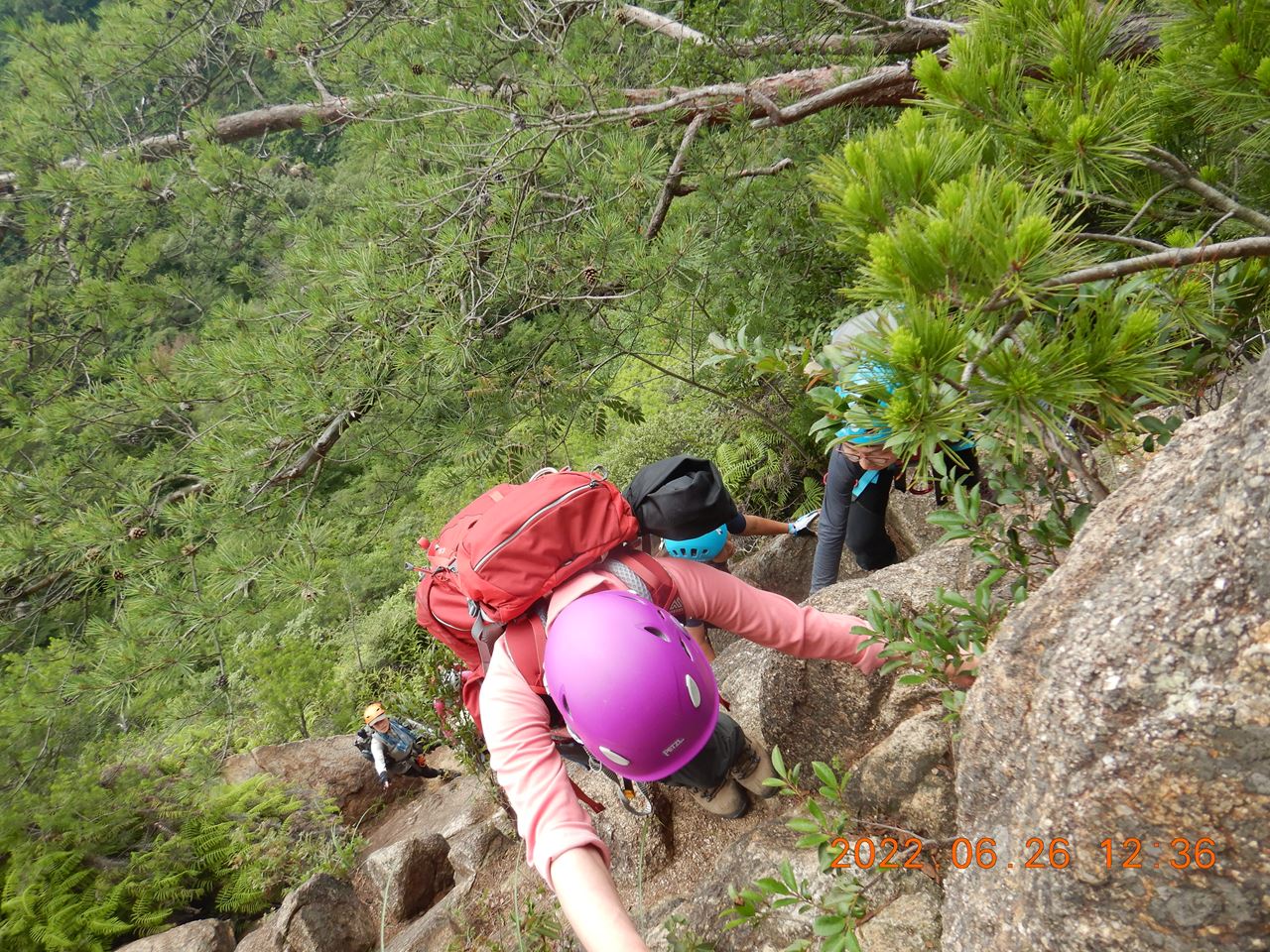 【例会山行】六甲山荒地山岩稜歩き（2022.6.26）