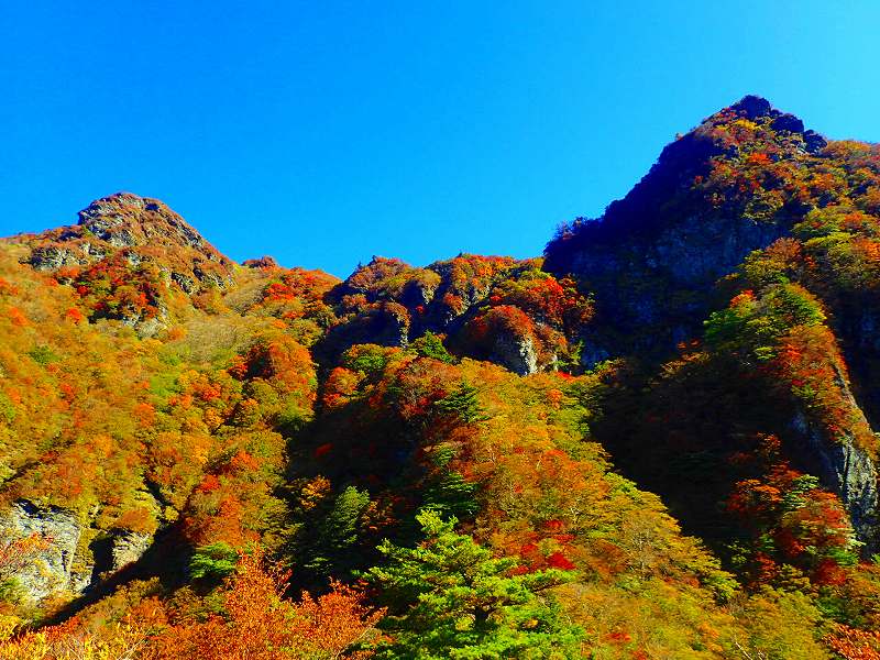 【個人山行】裏寒風山（2022.10.15）