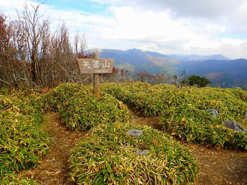 【個人山行】土佐矢筈山(2022.10.22)
