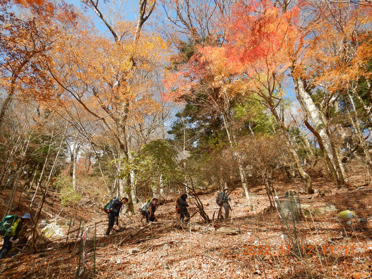 【例会山行】四国、三嶺（2022.11.12～13）その①