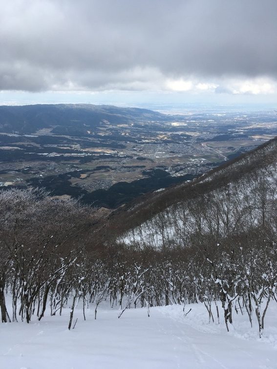 【個人山行】藤原岳（2023.01.08）