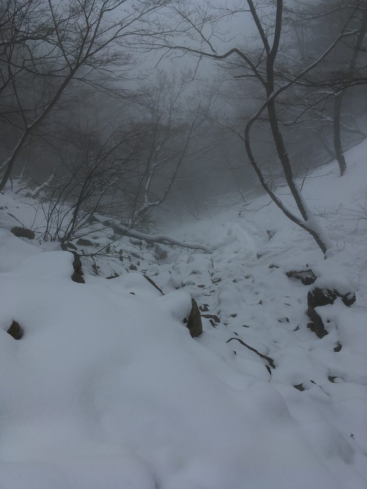 【個人山行】堂満岳（2023.01.22）