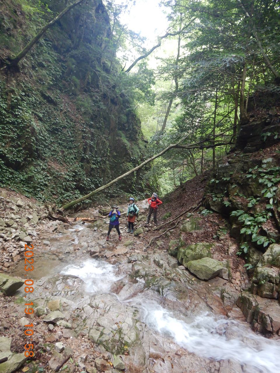 【個人山行】六甲山、白石谷.黒岩谷（2023.8.19）