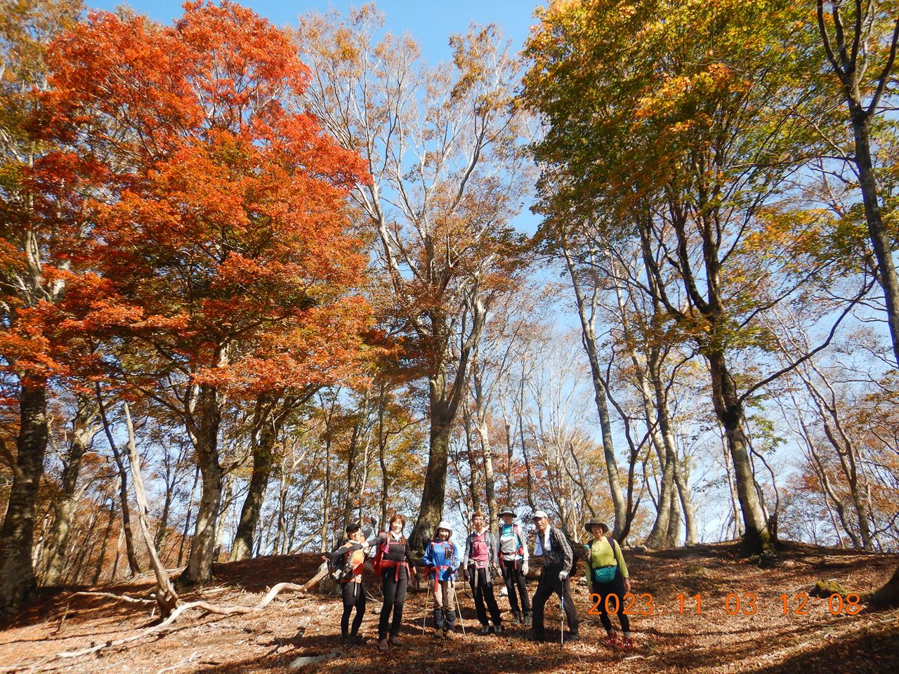 【例会山行】若狭駒ヶ岳.紅葉山行（2023.11.3）