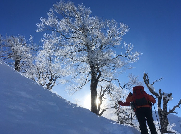 【例会山行】荒島岳(2025.1.25-26)