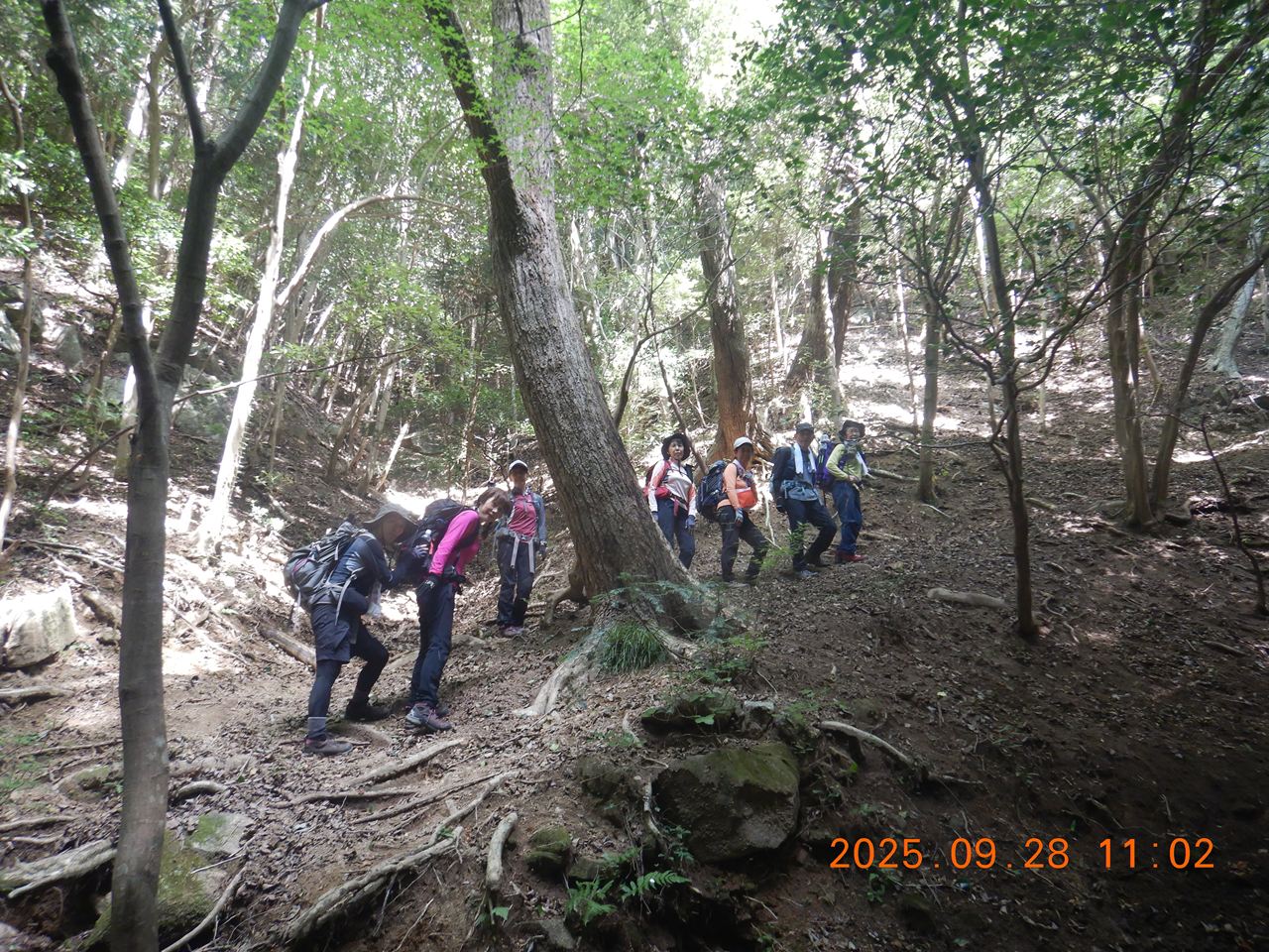 【例会山行】六甲山.地蔵谷（2025.9.28）